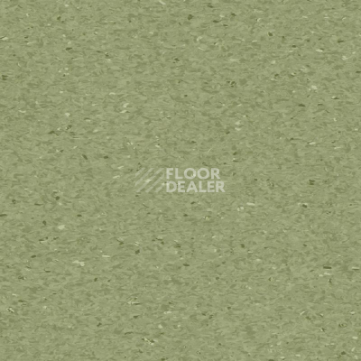 Линолеум Tarkett iQ Granit FERN 0405 фото 1 | FLOORDEALER